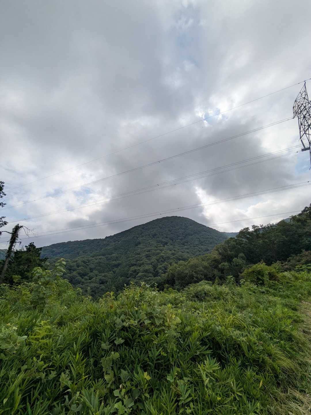 穴虫峠-ダイトレ北入口-二上山 往復コースの写真