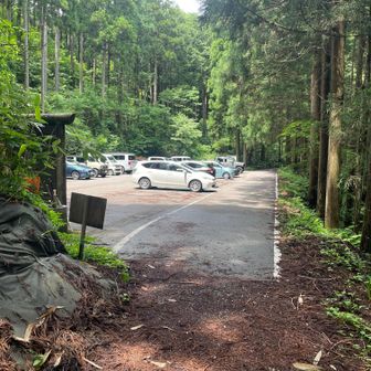 駐車場着。
久々に近くで滝見て、新緑の良い気もらって。
良い山でした。