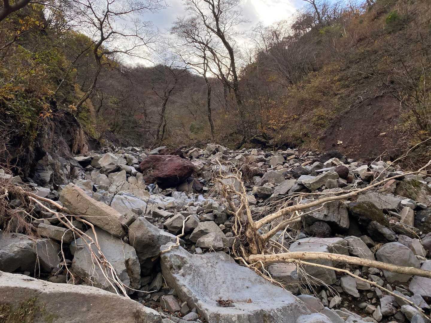 この辺、ヤマップの地図には⚠️マークがついていたけど、どれが危険なのかわからなかった
大水が出るたびに地形は変わるのだろうな
ガレた沢が続く
今日は水は ほとんどなかった
ちゃんとピンクテープがついていて助かる！🙏