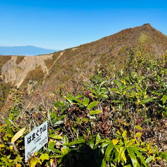 はまぐり山⛰️

ここからの景色が一番良かったので、行きも帰りもここでモグモグタイム🍁