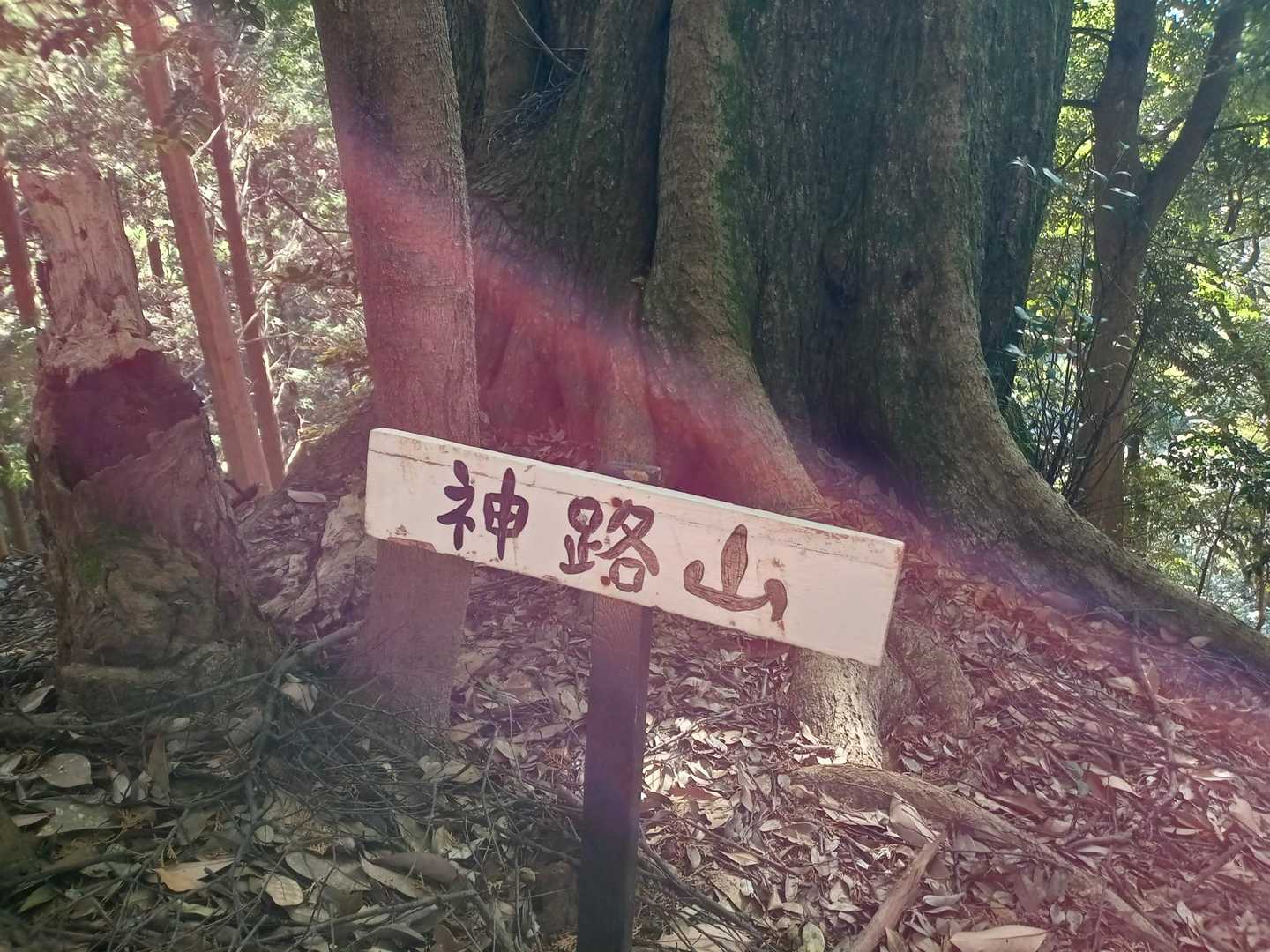 遠見岳 | 九州のお伊勢様「伊野天照皇大神宮」から登る神功皇后伝説の山の写真