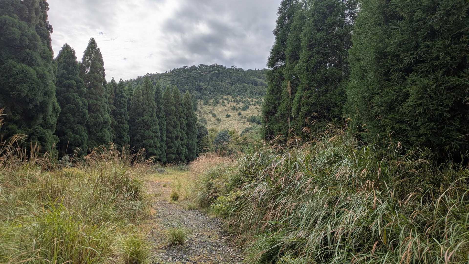 山が見えて来ましたが
まだ先の山です