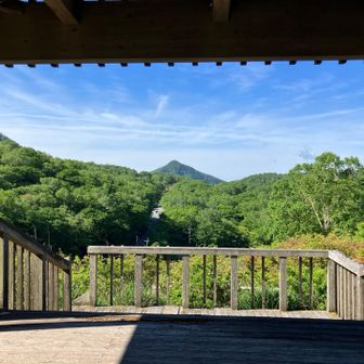 赤城牧場を見下ろすとレンゲツツジが満開です