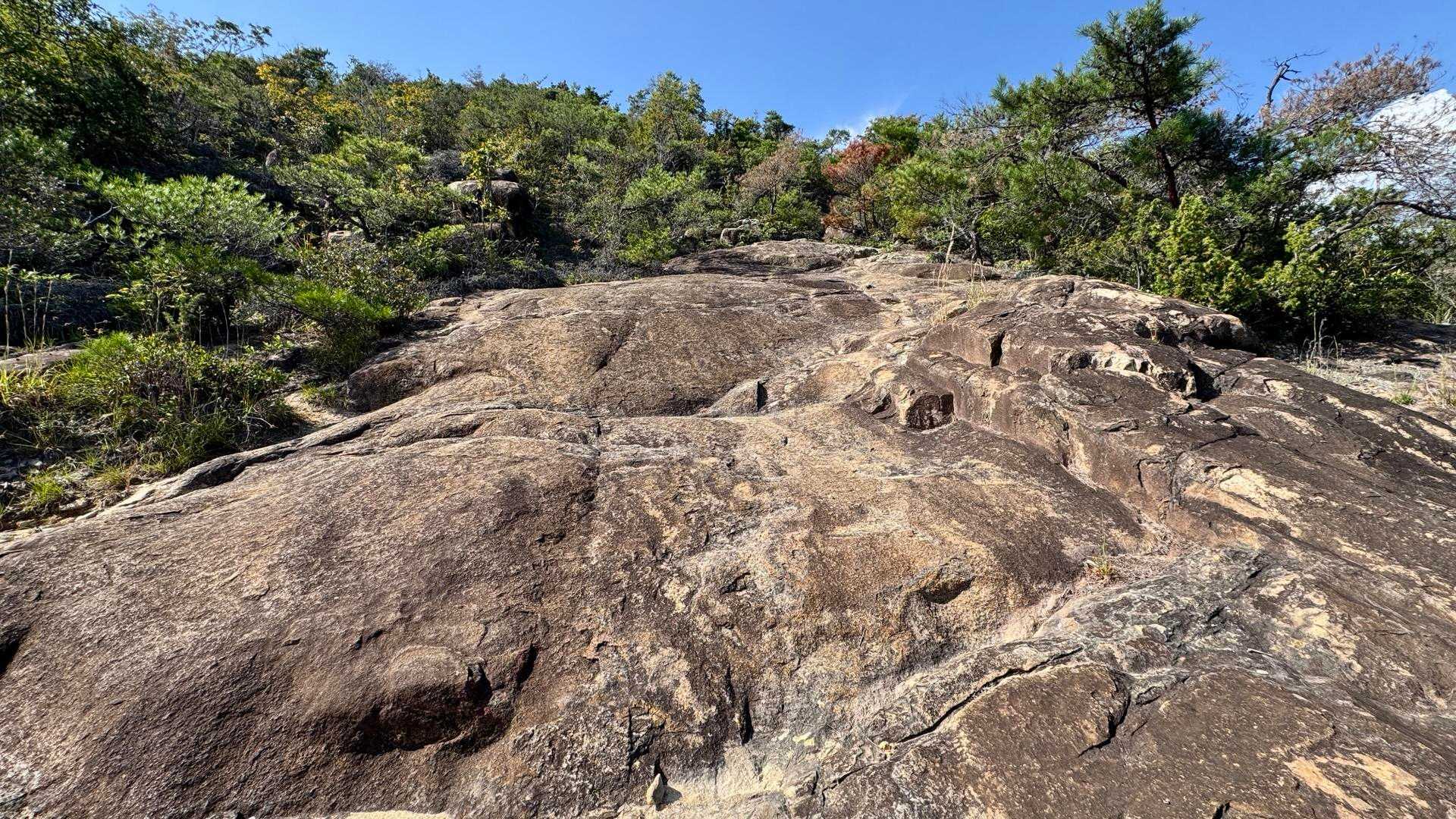 鬼城山-高石垣 往復コースの写真