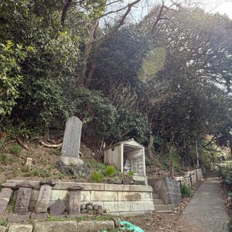 後半戦
まずは阿部倉山へ💪

登山口から結構な急坂です