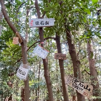 看板付けすぎや😅