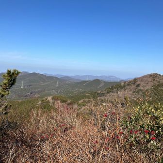 煩悩を捨てて下山