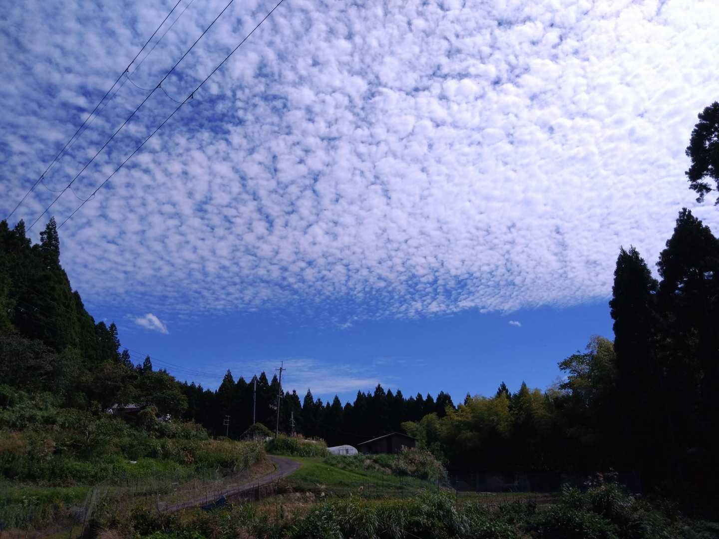 空が綺麗！
明日は曇り予報で、ウロコ雲。