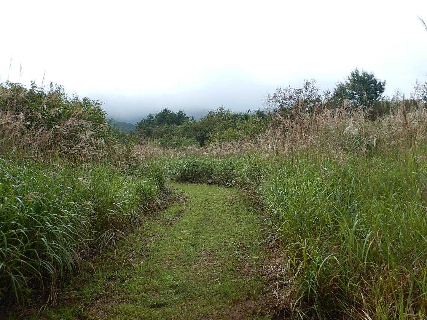 臥龍山登山口-臥龍山 縦走コースの写真