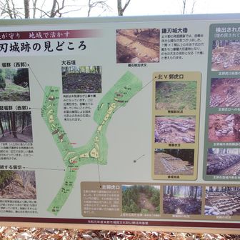 山城を整備してくれるのはありがたい