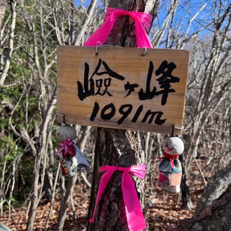 でもこっちにもありました