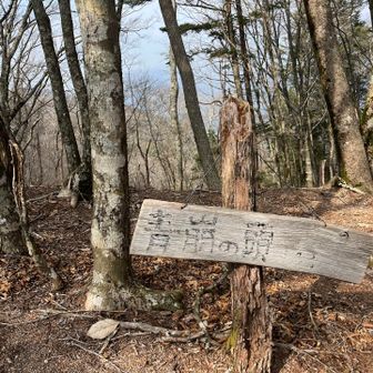 下山の青崩の頭。こちらもミサ百👍