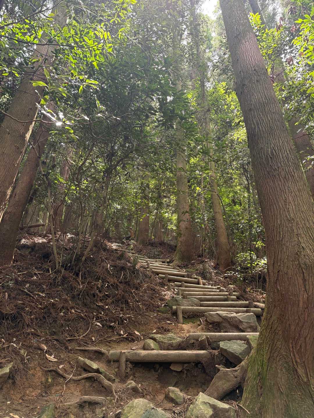 皿倉山ビジターセンター 往復コースの写真
