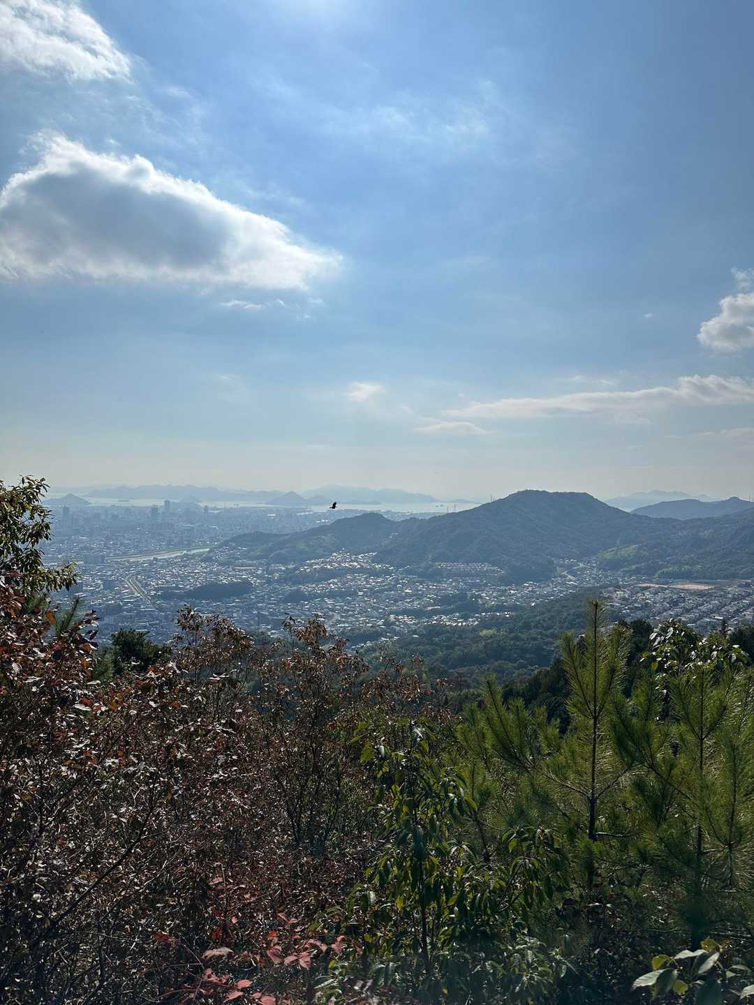 武田山 往復コースの写真