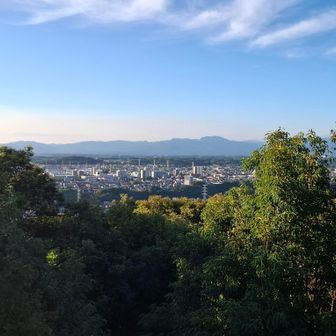 展望台から