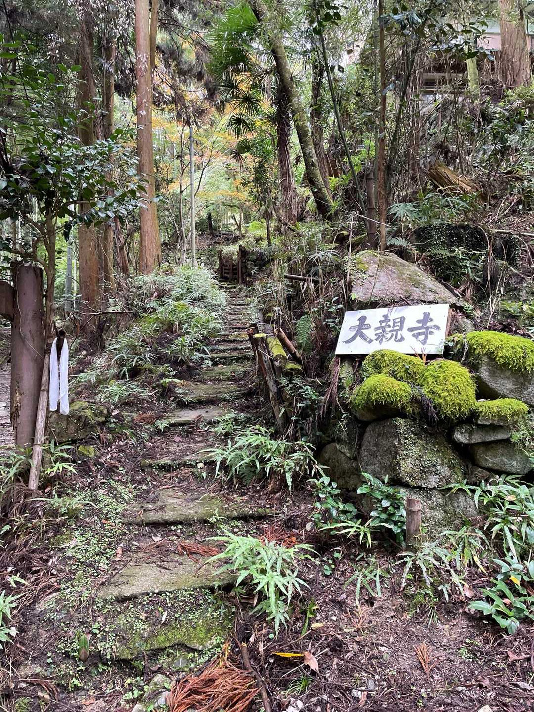 こんな所にお寺。