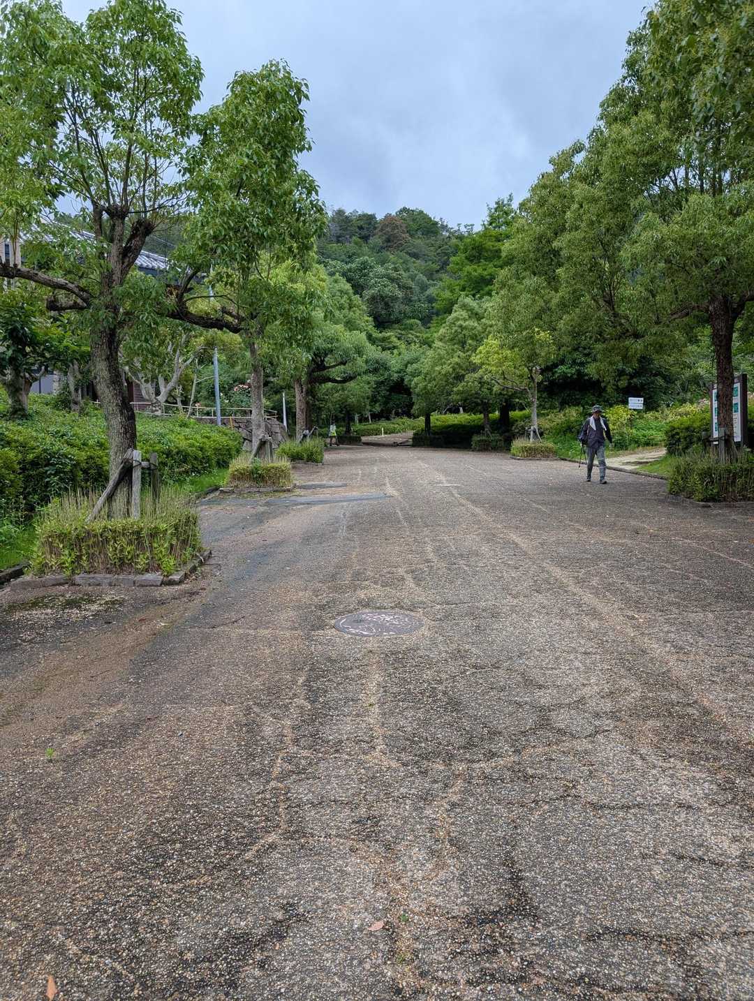 公園から！