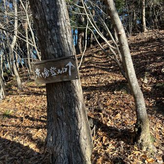 このロゴ、お洒落😎