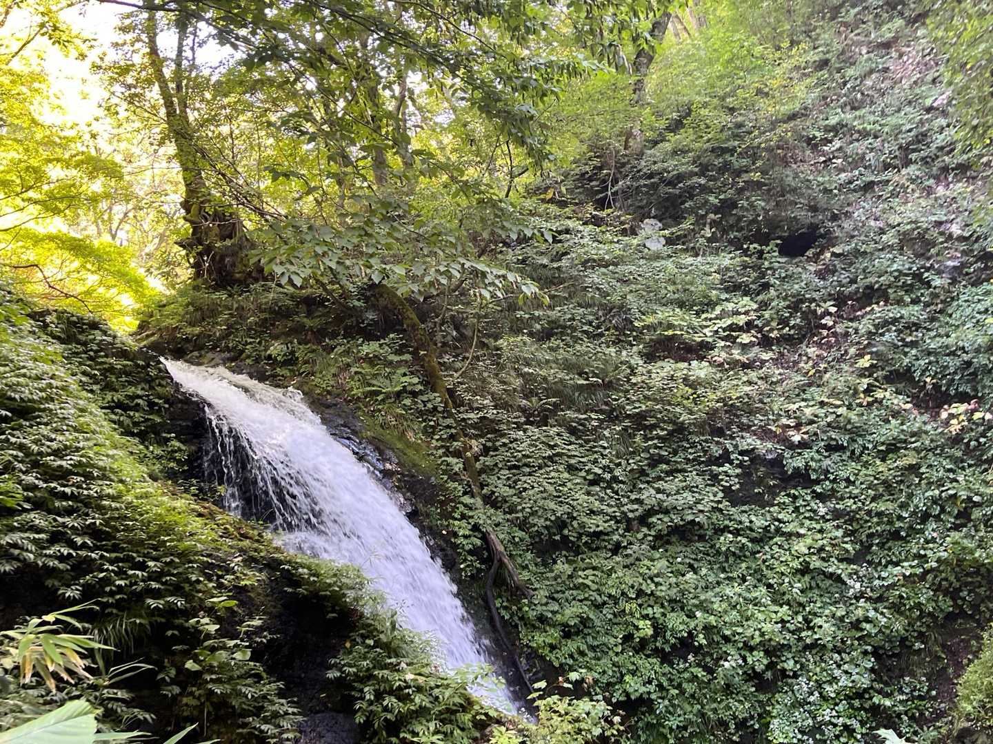 一の滝です😀
前ほど滝に感動しなくなった気が🤔
気のせいかな