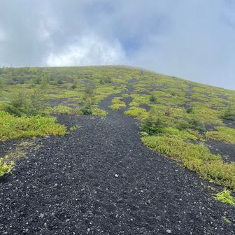 上二ツ塚。ここ上がるのかと絶望する。砂礫がね。