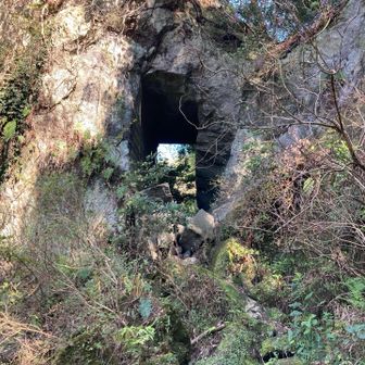鋸の穴くぐり🎶　相変わらず楽しい