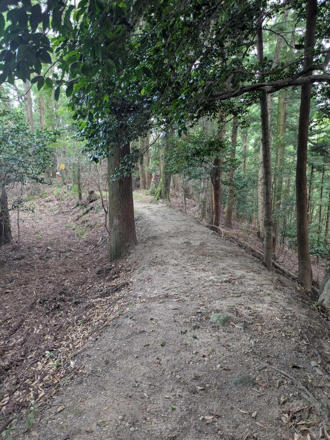 観音山登山口-観音山 周回コースの写真