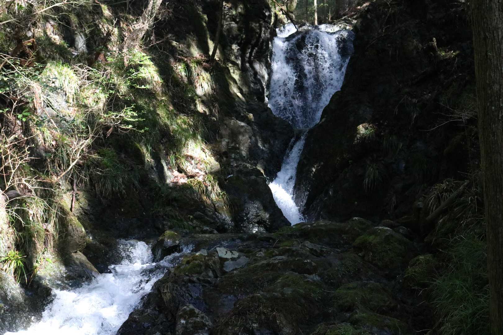 黒滝①