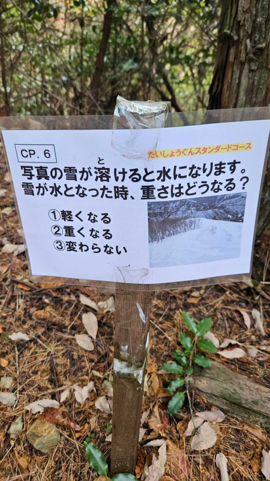 銭壷山-霧峯神社-大将軍山 縦走コースの写真