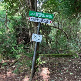 ここの頂上は眺めなし