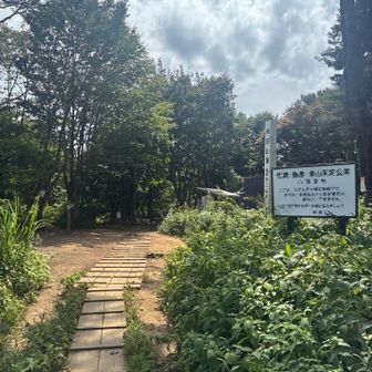 山頂に到着