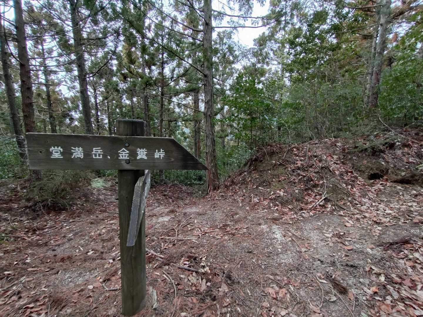 堂満岳目指しましょう。
素敵な名前の峠までは、今日は行きませぬ。