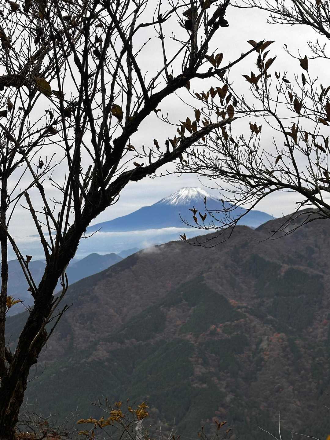 やった～
富士山見える🗻