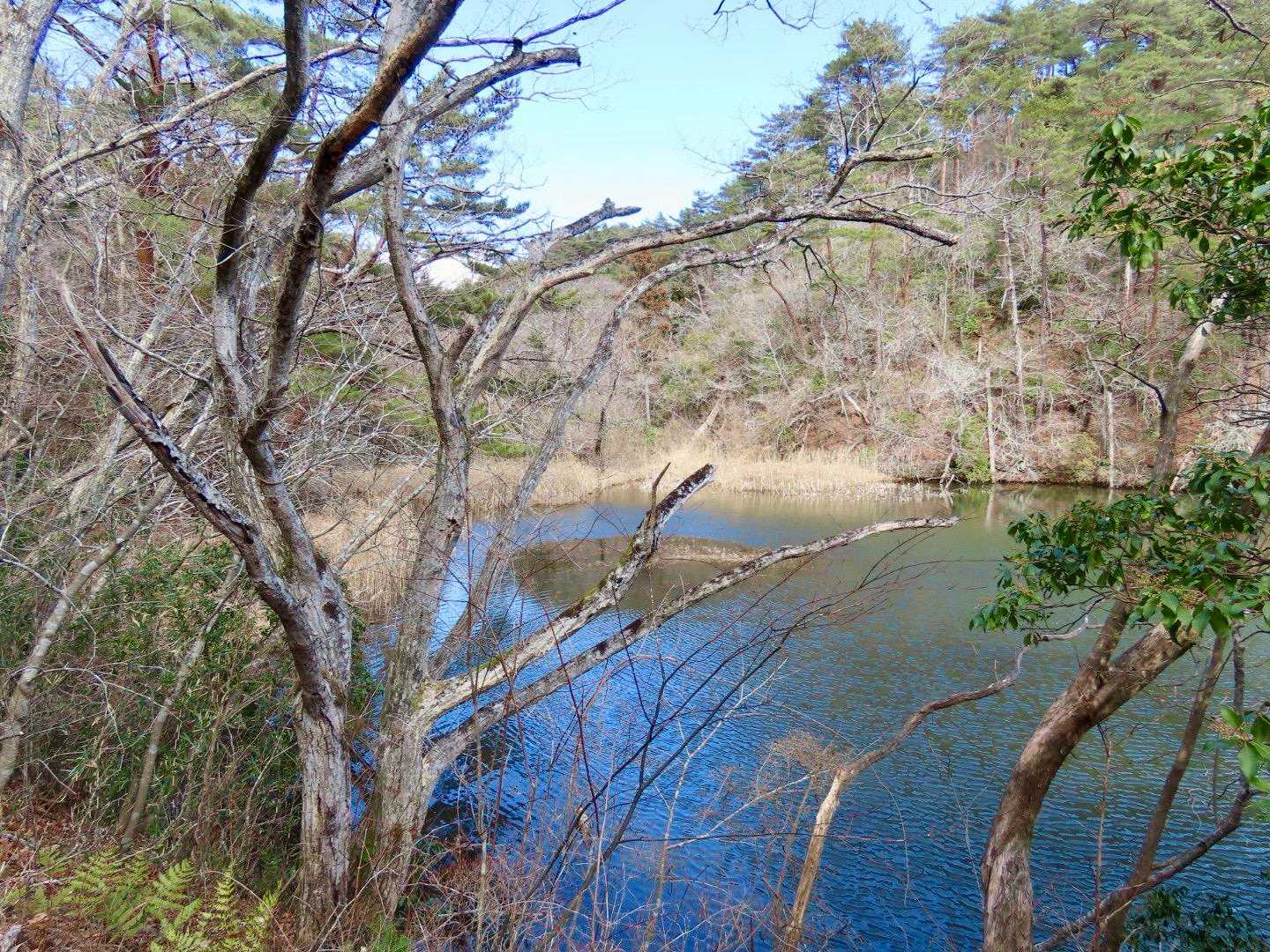 勝賀岩登り口-宗賀岩 往復コースの写真