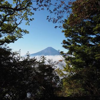 雲海の上に、はっきりと富士山が現れた✨