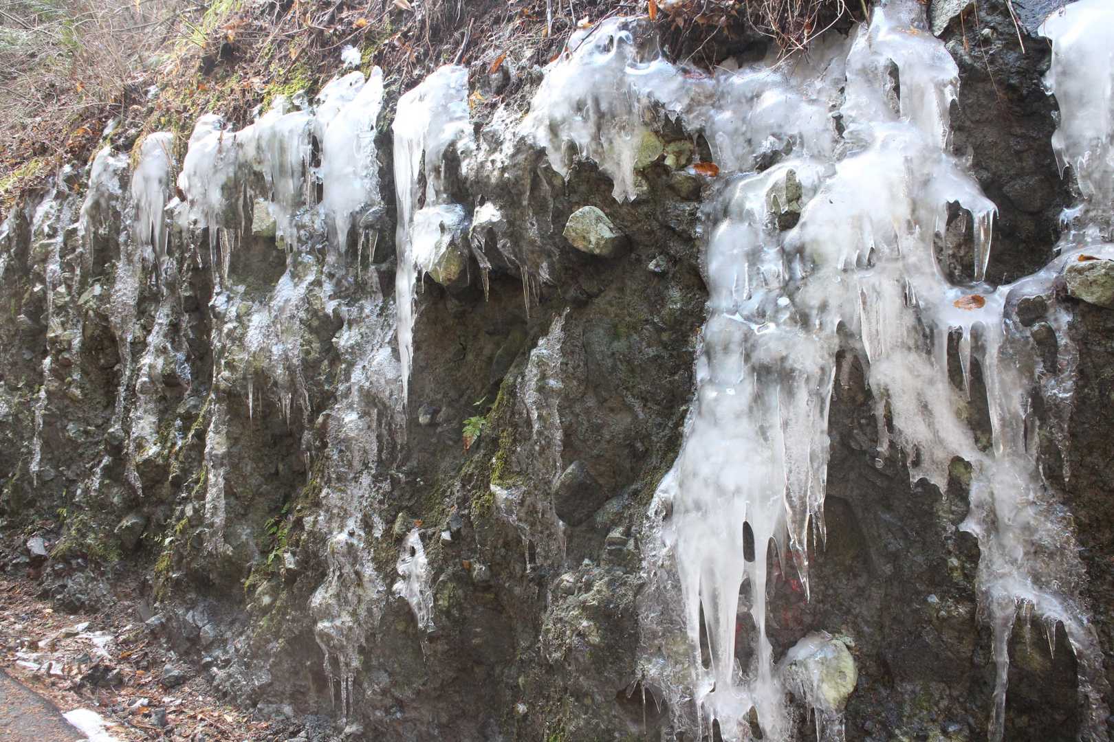 林道の脇の斜面の氷柱も見事だった。