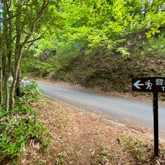 時々舗装路に出る

これが嫌(笑)