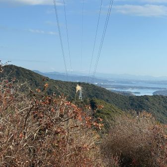 インフルエンザにかかってしまったり‥で、最近山に行けてなくて、久しぶりの山歩き⛰️

空気が気持ち良い🩵目を凝らすと富士山も⛰️✨