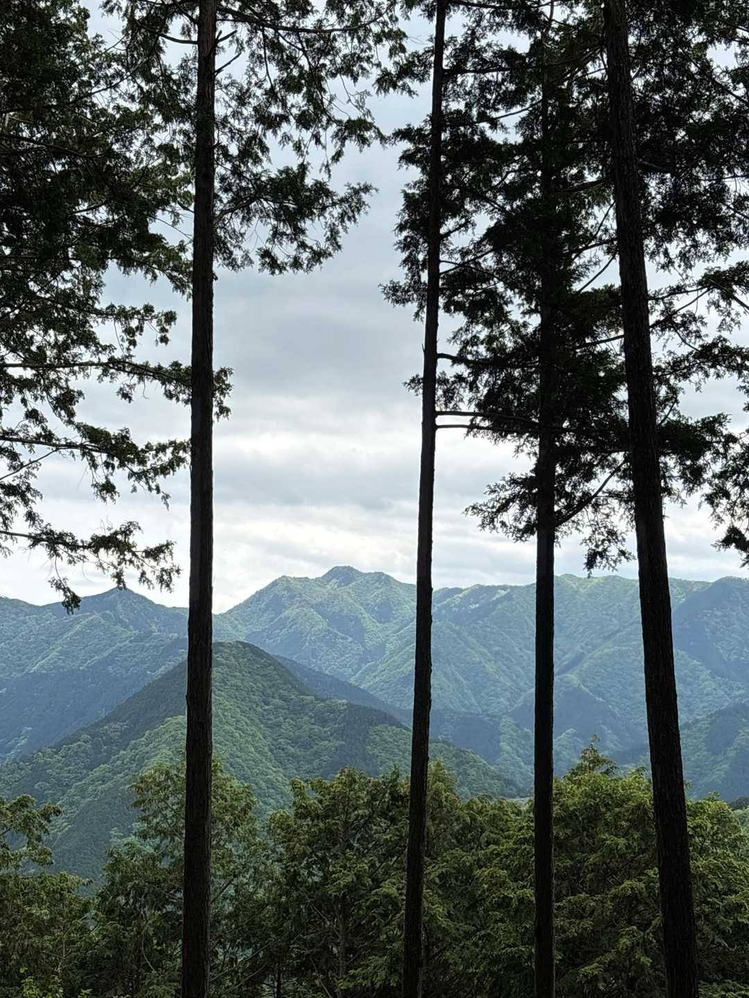 大岳山が見えます