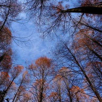 青とオレンジのコントラスト。