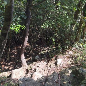 急登が続く