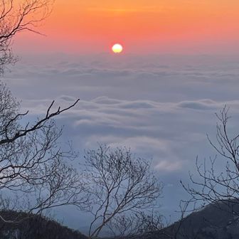 これまたラッキー🌅