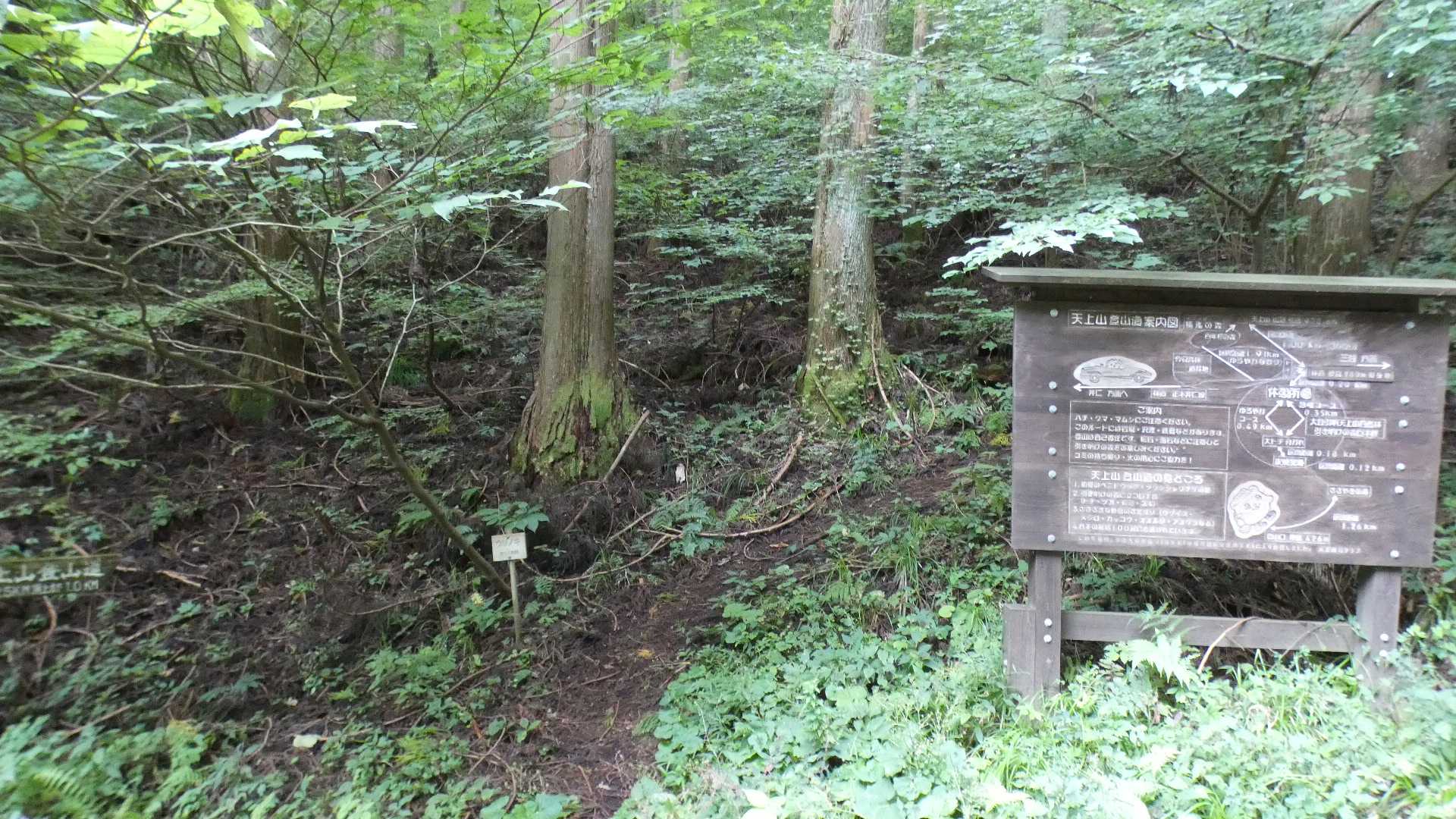 林道からの登山口