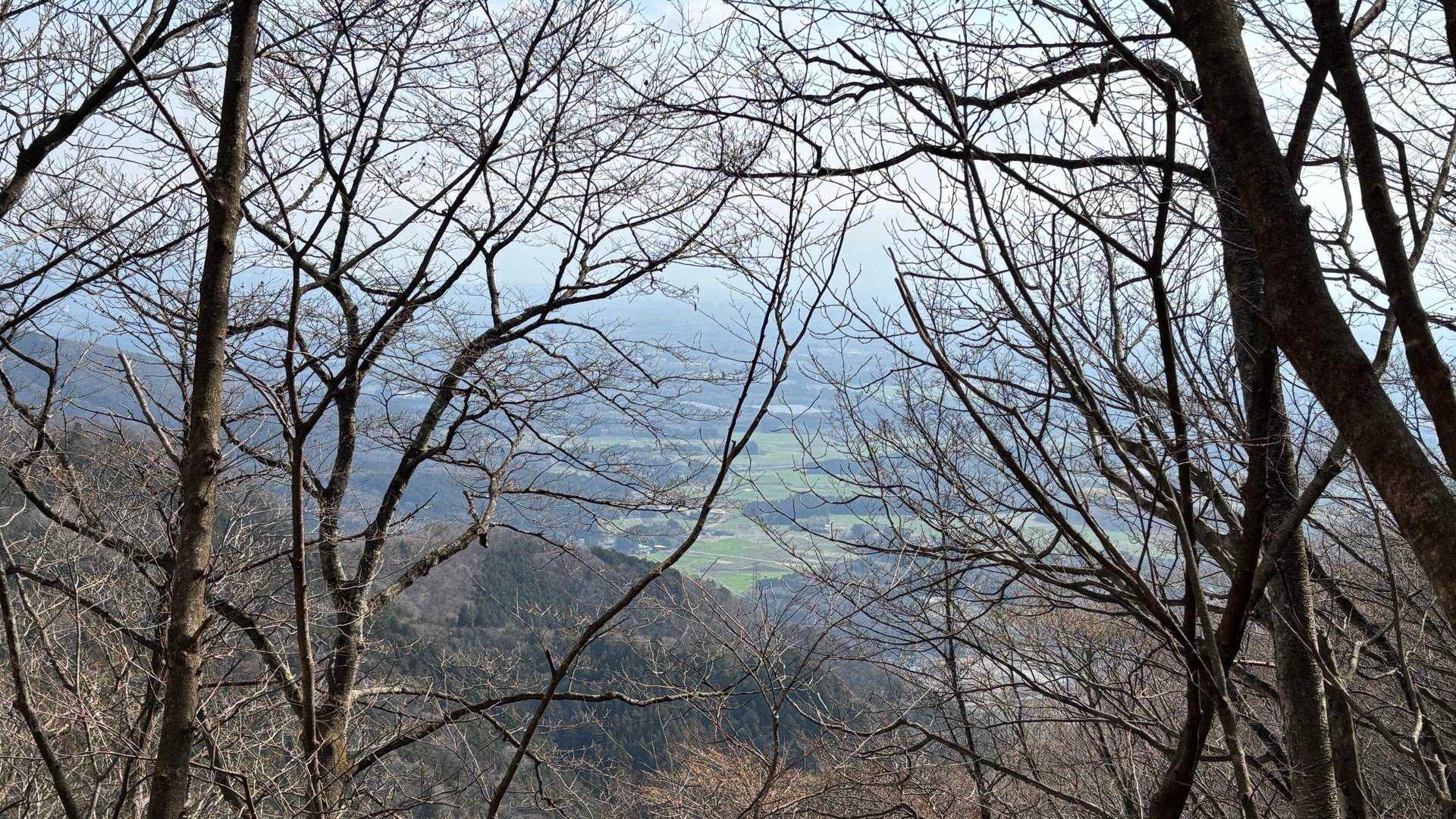 安戸山 往復コースの写真