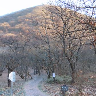 おまたせしてすみません（汗）。5年越しの榛名富士へ、いざ！