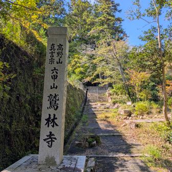 多宝塔や本堂を迂回してここに出てきてしまった😅
ここからお参りしときます🙏