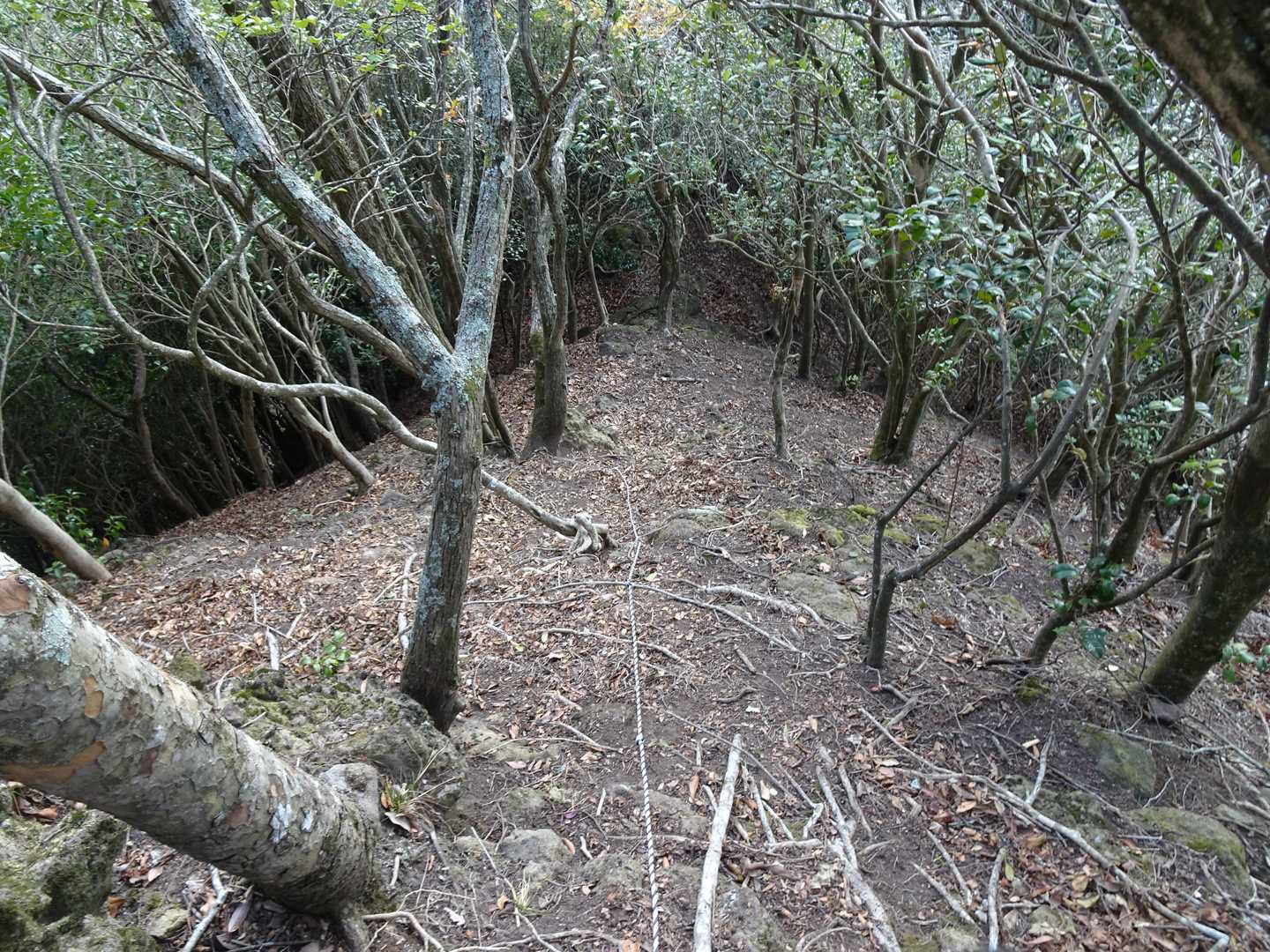 では下山。転がり落ちそうです。