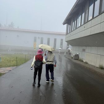 湿原から出る辺りで降り出し、ロープウェイ乗り場に着く頃には本降りに☔️
傘小さくてごめんね🙏もう一本持って行こうと思っていたのに忘れちゃって失敗した〜💦