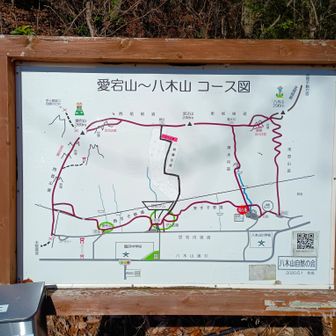 東登山口から時計回りで行ってみます。