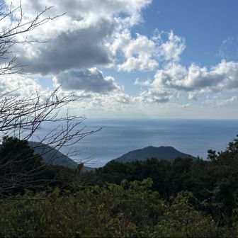 眺望は南西方面かしら？