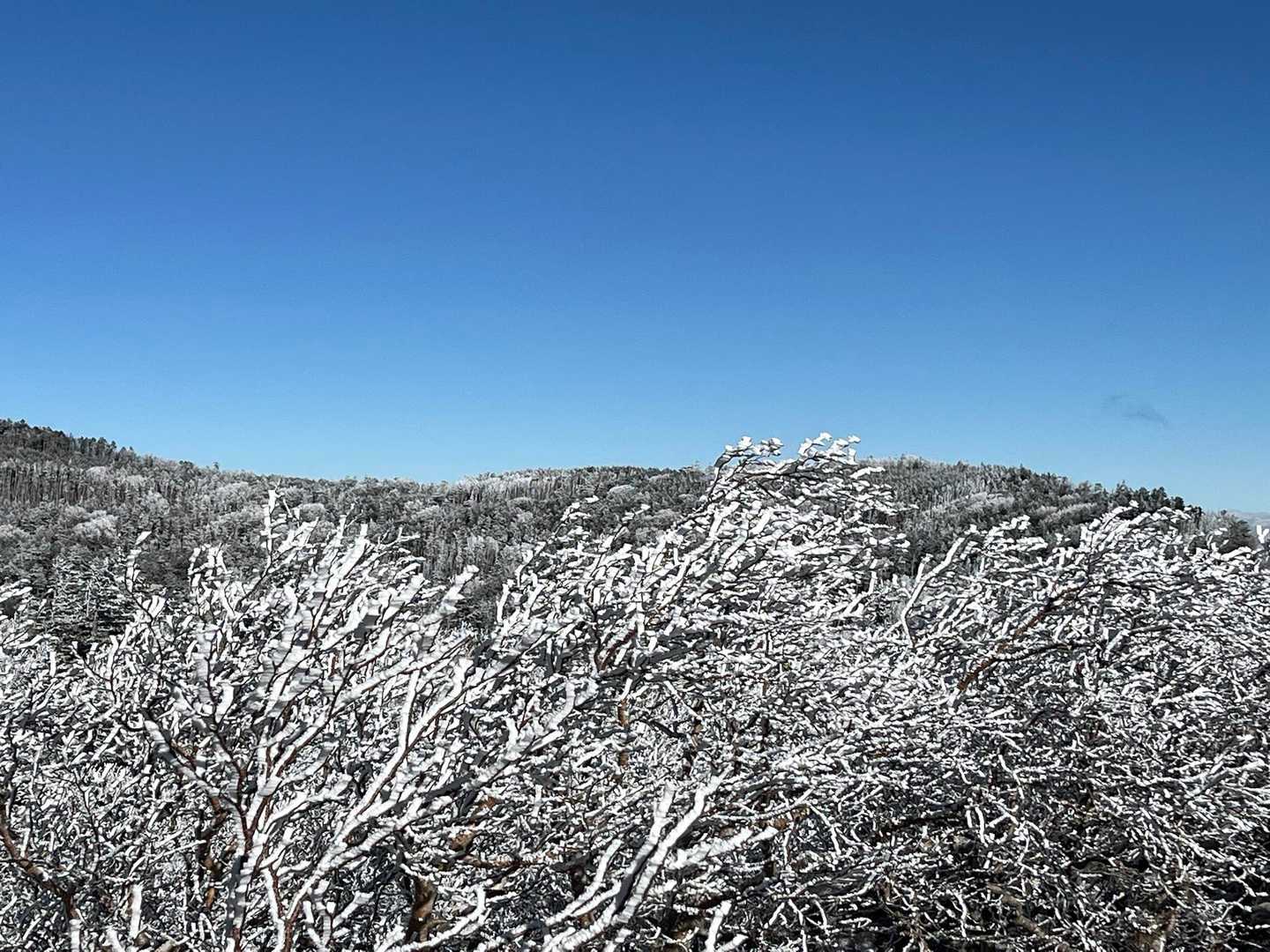 中山峠-東天狗岳 往復コースの写真